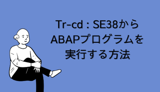 【SAP】Tr-cd:SE38からABAPプログラムを実行する方法を解説
